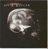 David Sylvian - God Man